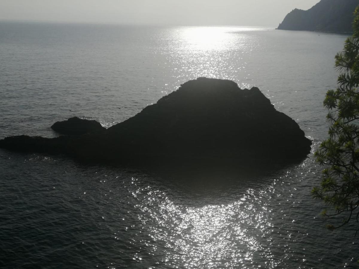 La Rosa Dei Venti Otel Monterosso al Mare Dış mekan fotoğraf