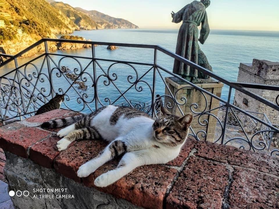 La Rosa Dei Venti Otel Monterosso al Mare Dış mekan fotoğraf