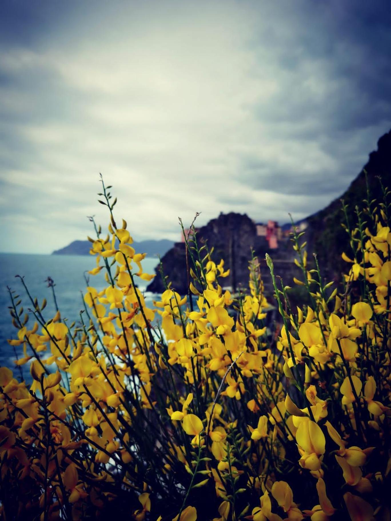 La Rosa Dei Venti Otel Monterosso al Mare Dış mekan fotoğraf